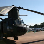 Chinook