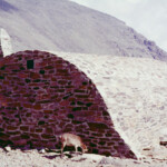 Sierra Nevada Spain backpacking