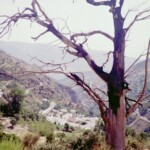 Sierra Nevada Spain backpacking
